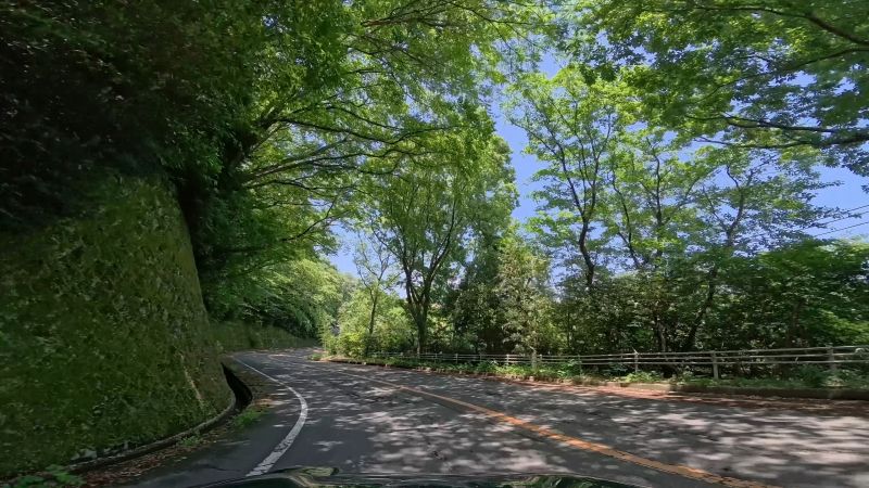 頼朝ライン